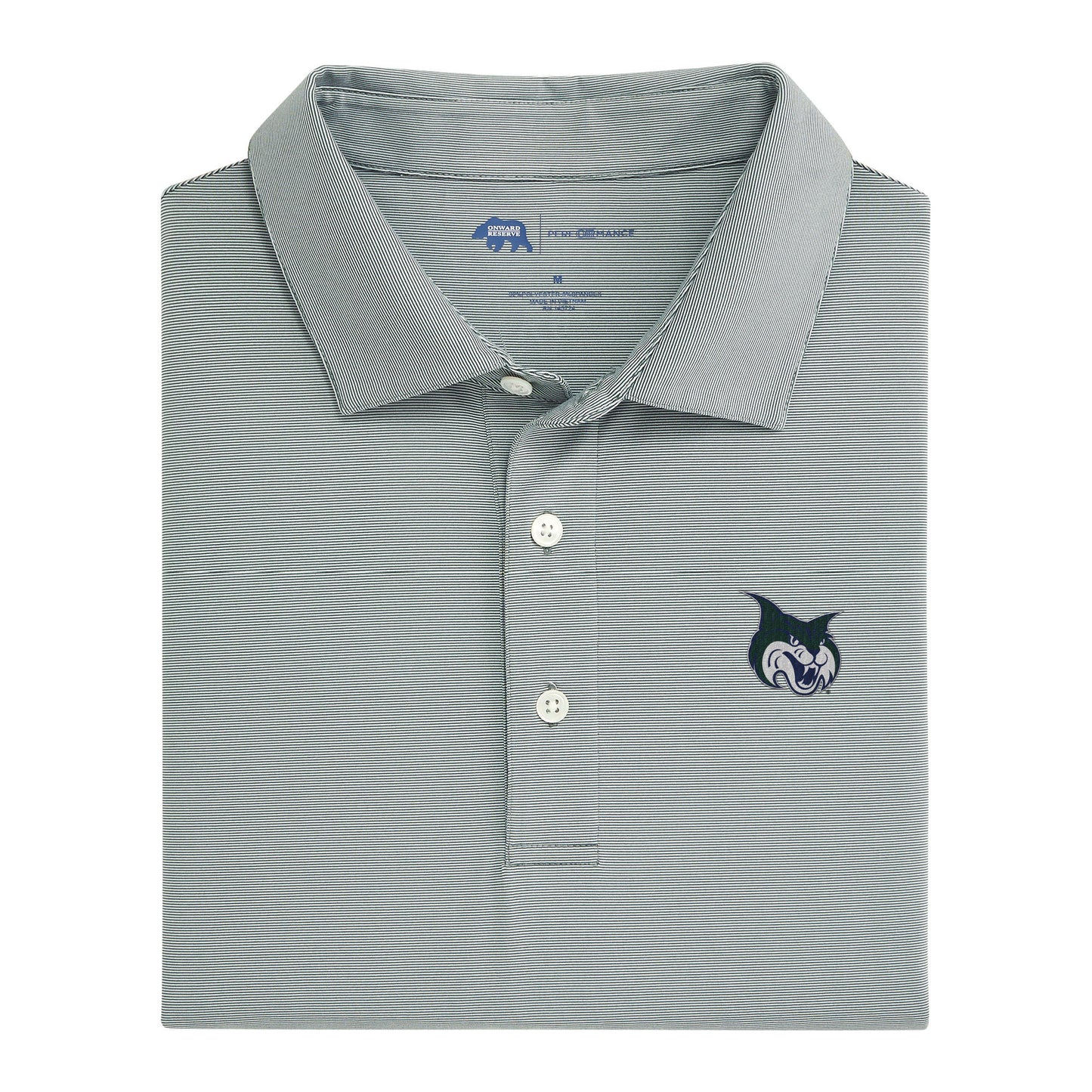 Hairline Stripe GCSU Performance Polo