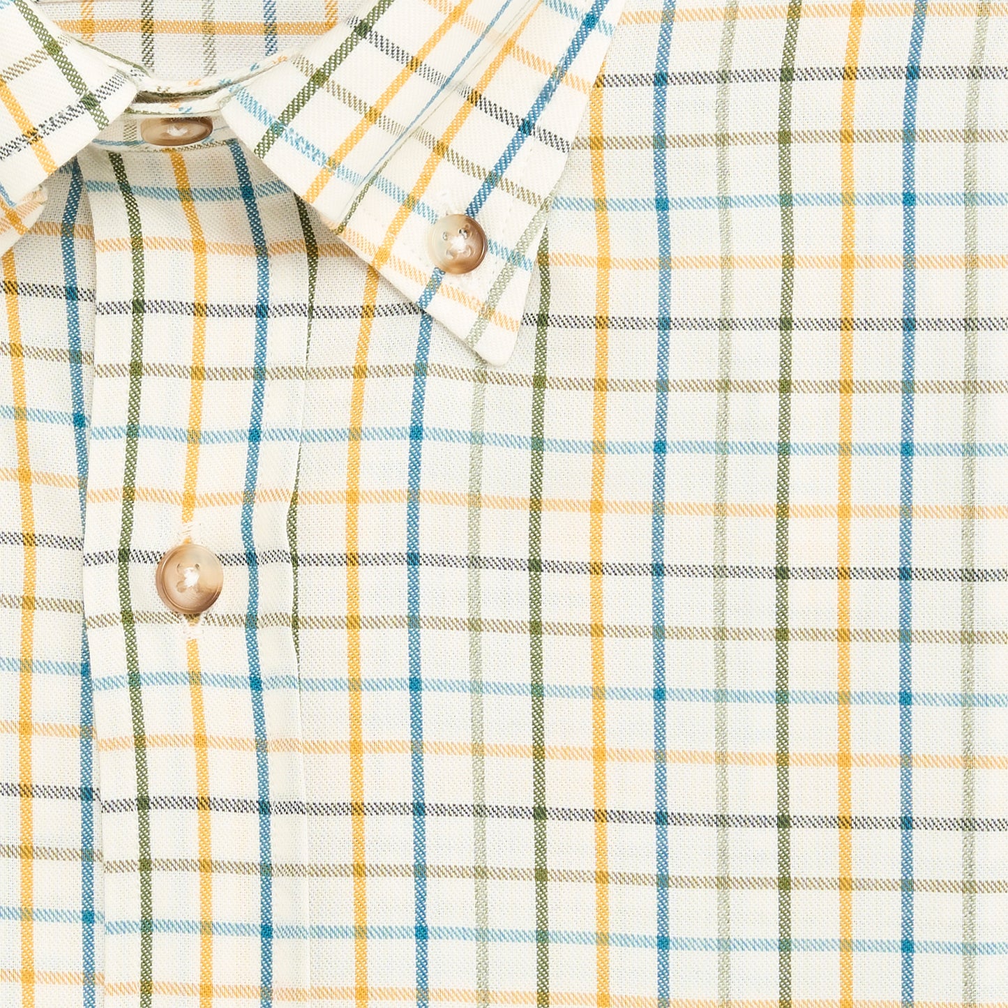 Buckthorn Thomasville Button Down