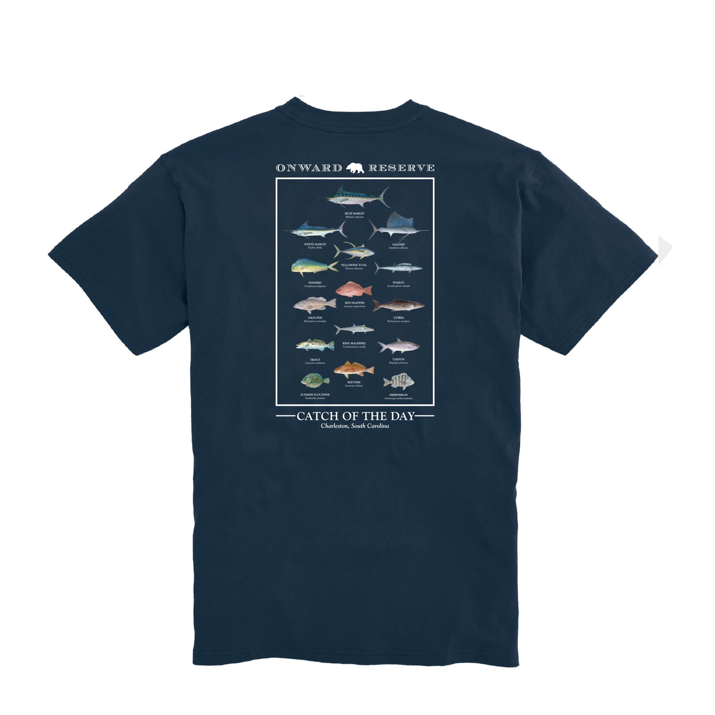 Coastal Fish Tee