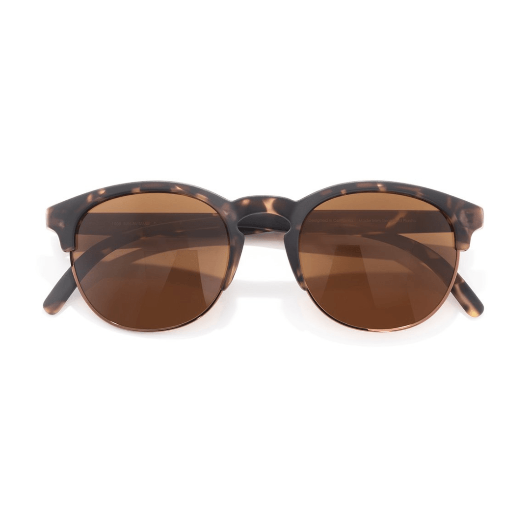 Avila Sunglasses - Tortoise Amber - Onward Reserve