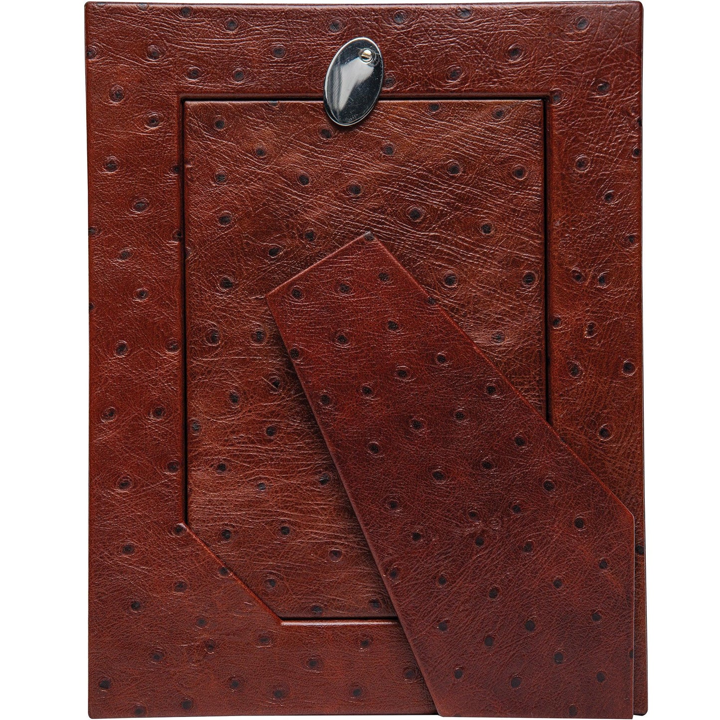 Ostrich Leather Frame - Onward Reserve