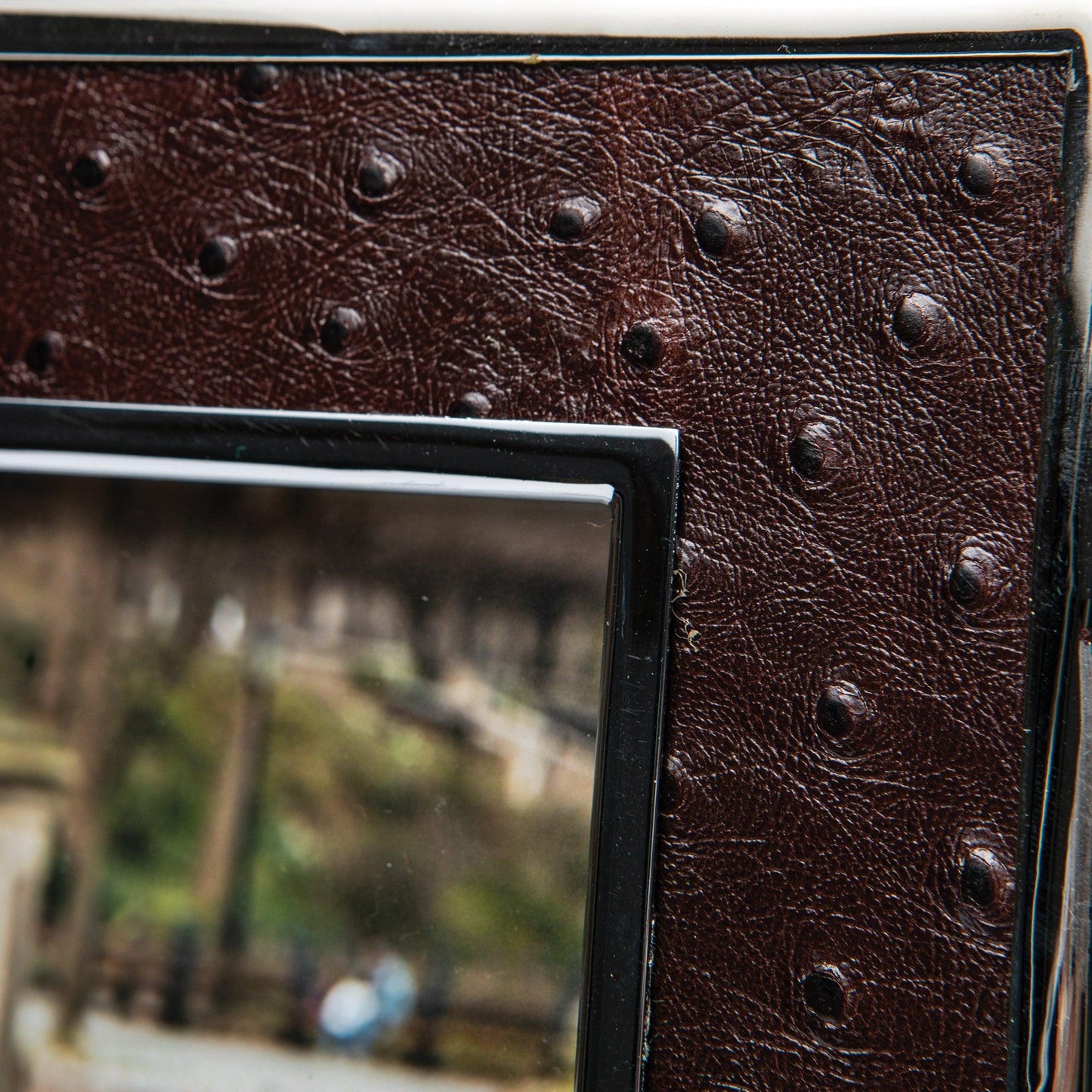 Leather Ostrich Frame with Nickel Plated Rim - Onward Reserve