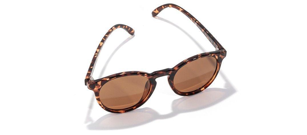 Dipsea Sunglasses - Tortoise Amber - Onward Reserve