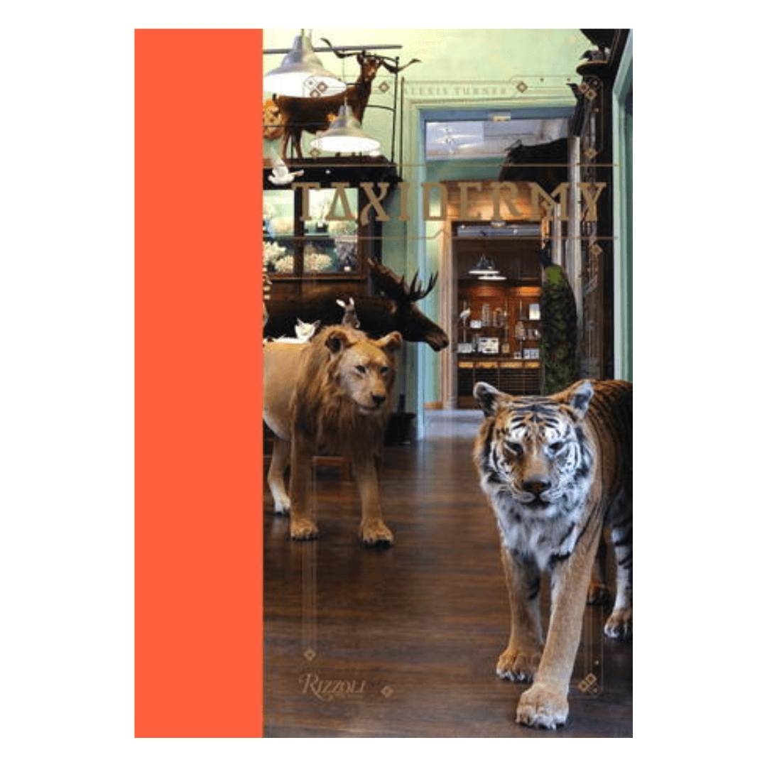Taxidermy - Onward Reserve