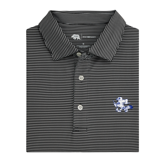 Air Force Mascot Birdie Stripe Performance Polo