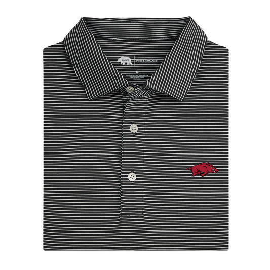 Arkansas Razorback Birdie Stripe Performance Polo