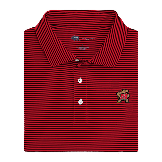 Maryland Terrapin Echo Stripe Performance Polo
