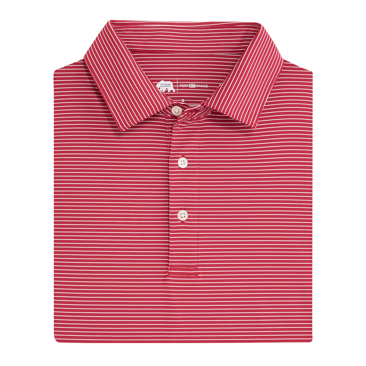 Birdie Stripe Performance Polo