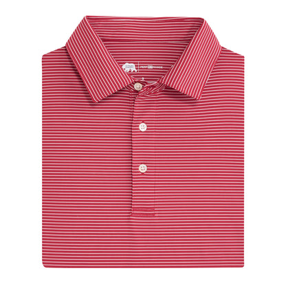 Birdie Stripe Performance Polo