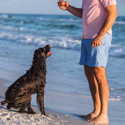 Barb Swim Trunk - Azurine