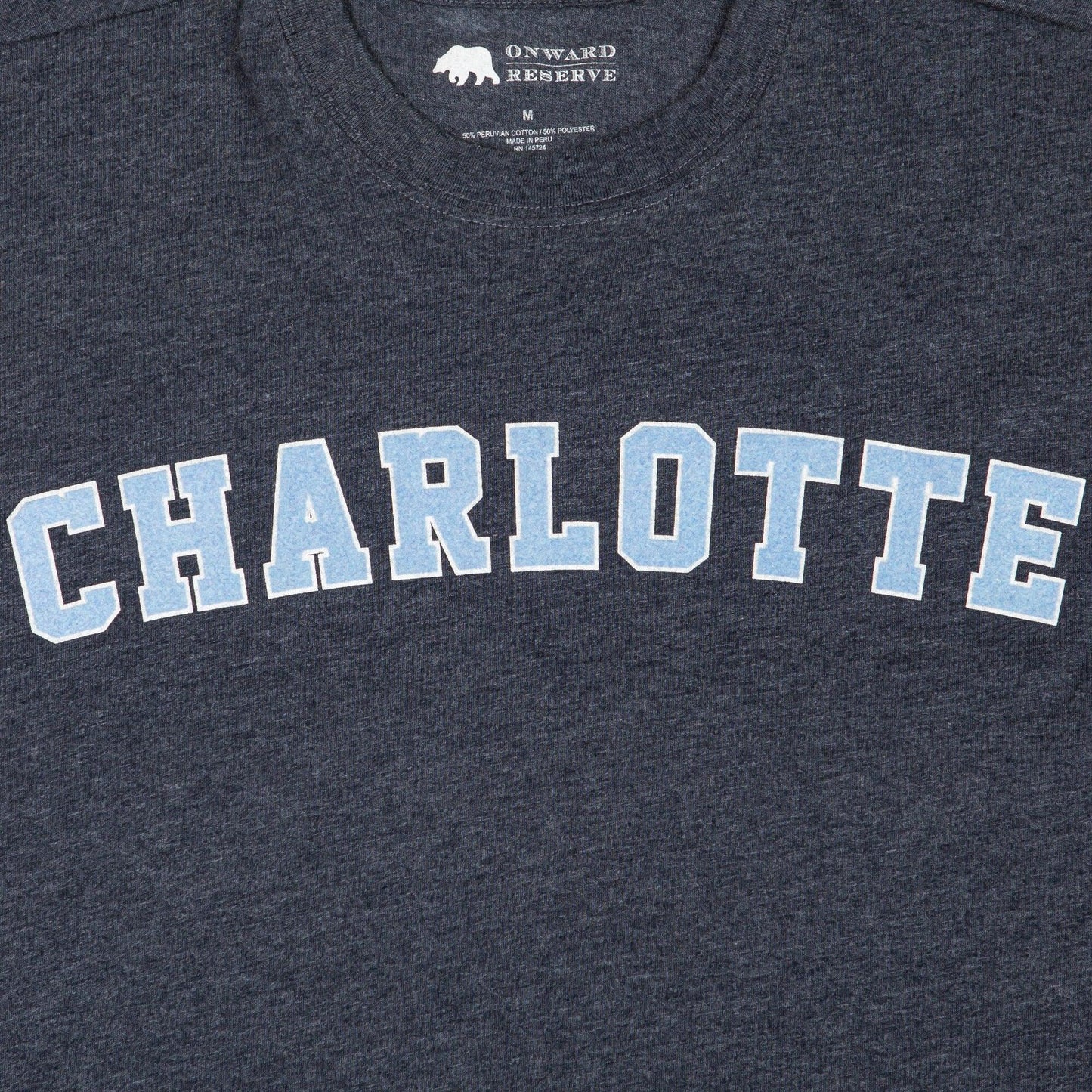 Charlotte Flocked Collegiate Long Sleeve Tee - Onward Reserve