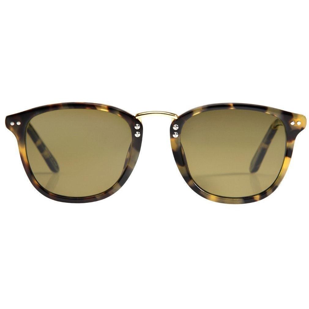 Franklin Blonde Tortoise Polarized 24k - OnwardReserve