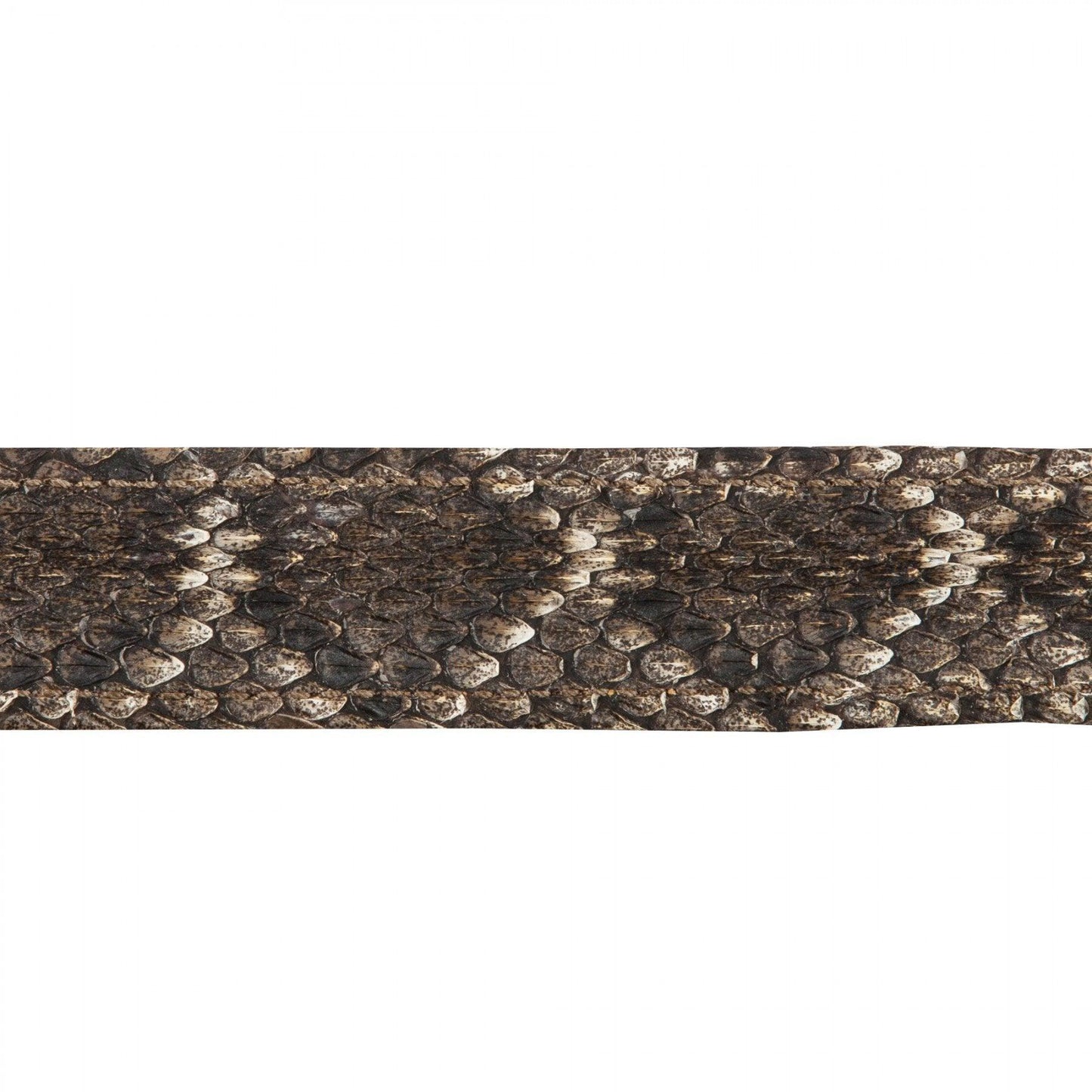 Rattlesnake Belt - OnwardReserve